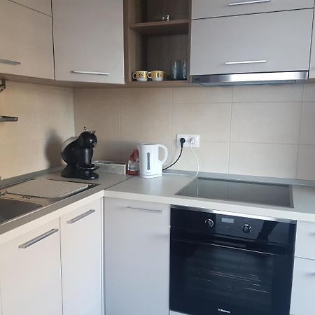 Exquisite Apartament Braszów Zewnętrze zdjęcie